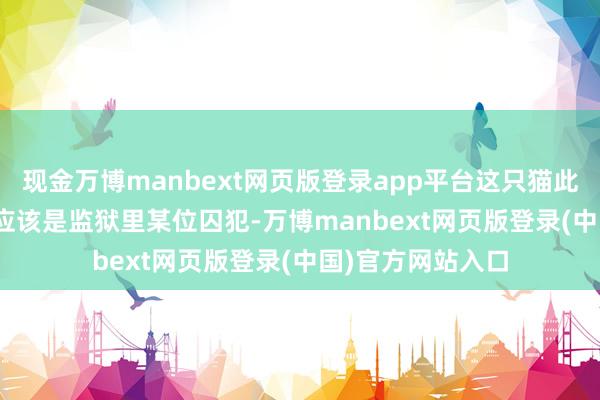 现金万博manbext网页版登录app平台这只猫此行的