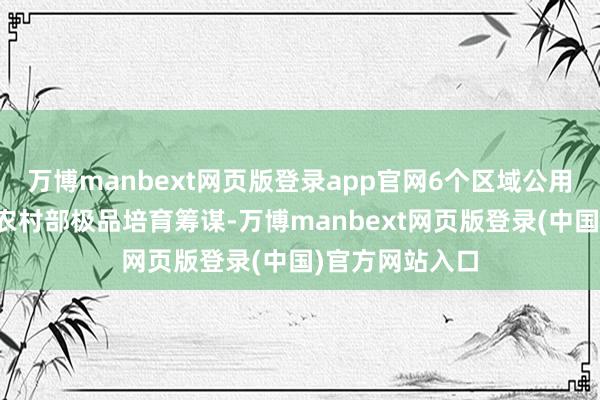 万博manbext网页版登录app官网6个区域公用品牌入选农业农村部极品培育筹谋-万博manbext网页版登录(中国)官方网站入口