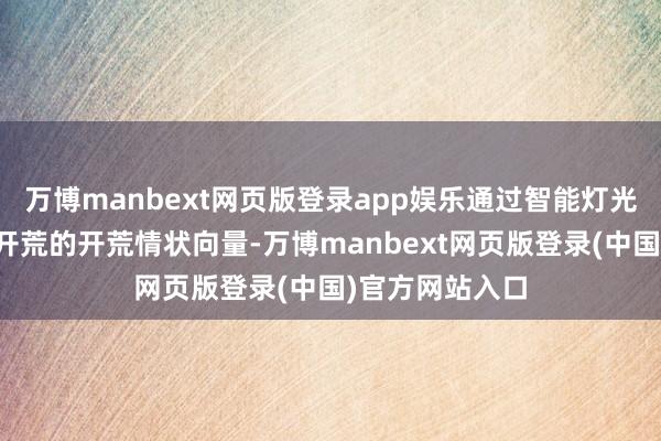 万博manbext网页版登录app娱乐通过智能灯光开荒获得每个开荒的开荒情状向量-万博manbext网页版登录(中国)官方网站入口