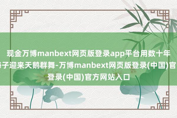 现金万博manbext网页版登录app平台用数十年信守让南海子迎来天鹅群舞-万博manbext网页版登录(中国)官方网站入口